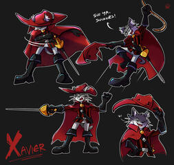 Xavier, cat musketeer